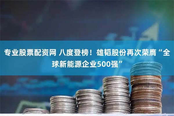 专业股票配资网 八度登榜!雄韬股份再次荣膺“全球新能源企业500强”