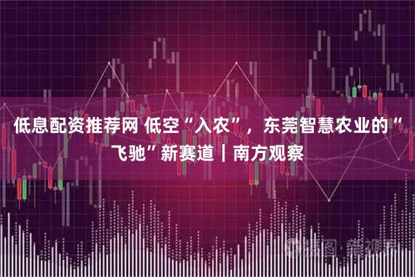 低息配资推荐网 低空“入农”，东莞智慧农业的“飞驰”新赛道｜南方观察