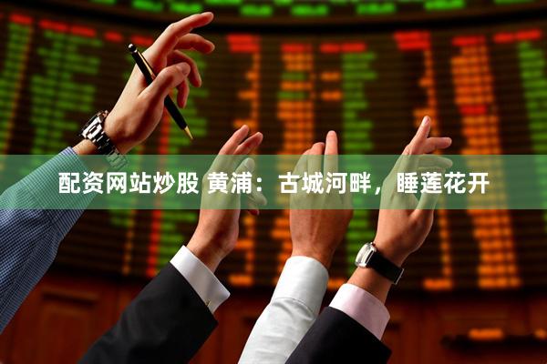 配资网站炒股 黄浦：古城河畔，睡莲花开