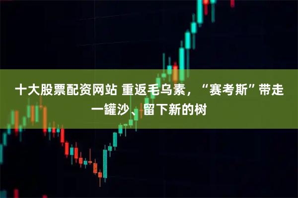 十大股票配资网站 重返毛乌素，“赛考斯”带走一罐沙、留下新的树